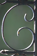 Wall_Art_Alphabet_Photography_Art_ 358